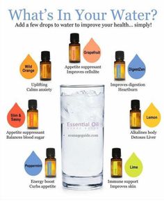 Infusion Recipes, Water Infusion, Terra Essential Oils, Essential Oil Usage, Esential Oils