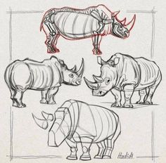 three rhinos and one rhino with long horns