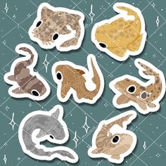 six different types of fish stickers on a blue background with white and brown designs