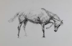 a black and white drawing of a horse