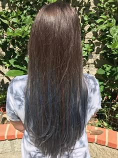 Dark Blue Hair Underneath Brown, Light Brown Hair With Blue Underneath, Dark Blue Lowlights In Brown Hair, Blue Highlights In Brown Hair Straight, Dark Brown With Blue Underneath, Brown Hair Blue Highlights, Blue Brown Hair, Very Easy Hairstyles