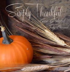 an orange pumpkin sitting on top of a table next to some stalks of wheat with the words simply thank for grateful