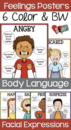 feelings posters with different expressions and words to help students learn how to say the same language