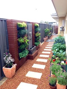 a walkway made out of stepping stones leads up to a garden area with potted plants on either side