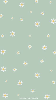 daisies on a light green background with white and yellow centers are the focal point for this wallpaper