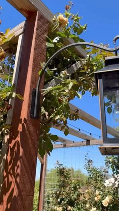 a lamp hanging from the side of a wooden structure next to flowers and vines on a sunny day