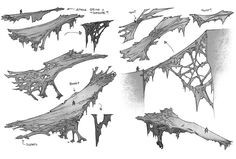 some drawings of different types of trees