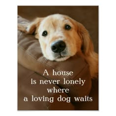 a golden retriever dog laying on top of a pillow with a quote about dogs