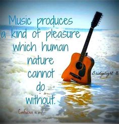 an acoustic guitar in the water with a quote about music produces a kind of pleasure which human nature cannot do without