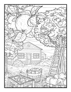 an apple tree with apples on it and a ladder to the house in the background