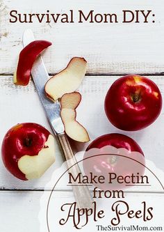 an apple peel is cut in half and sitting next to some apples