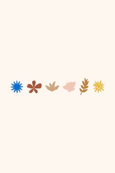 an image of four different flowers on a white background, one is red and the other is blue