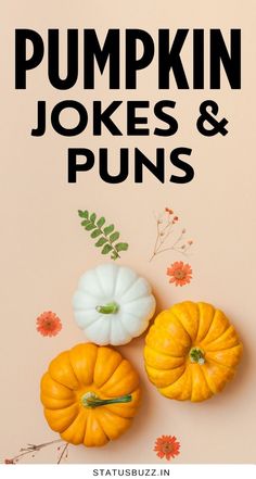 pumpkins and gourds with the words pumpkin jokes & puns