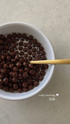 a white bowl filled with chocolate covered donuts and a wooden stick sticking out of it