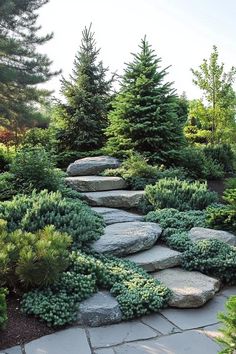 Evergreen Landscaping Ideas, Modern Garden Landscape, Evergreen Landscaping, Evergreen Landscape, Sloped Backyard, Garden Stairs, Hillside Landscaping