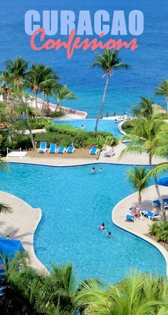 an outdoor swimming pool surrounded by palm trees and blue water with the words curacao confusion on it