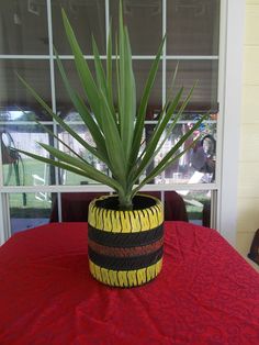 a potted plant sitting on top of a red tablecloth covered table next to a window