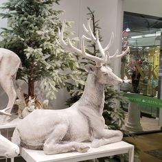 two white deer statues sitting next to each other on top of a table in front of a christmas tree