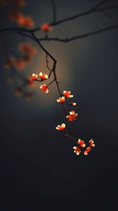 a branch with orange flowers on it against a dark background