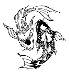 two koi fish are swimming in the water, one black and white is an ink drawing