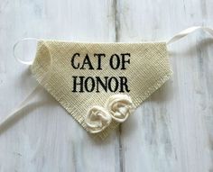 a cat of honor dog bandana on a white wooden background