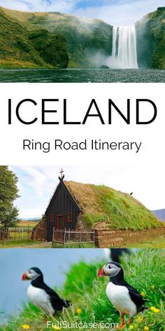 the iceland ring road itinerary with two pictures of birds and a waterfall in the background