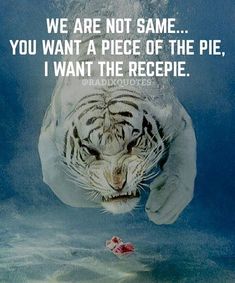 a white tiger swimming under water with a caption that reads, we are not same you want a piece of the pie i want the recipe