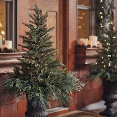 two potted christmas trees sitting next to each other in front of a fireplace mantel