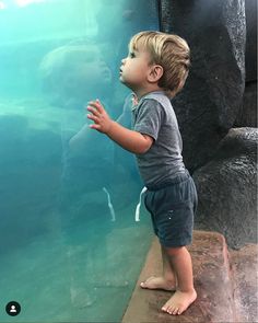 a little boy standing in front of an aquarium looking at the water and holding his hands out