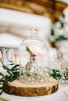 a glass clochet with a pink rose under it sitting on top of a table