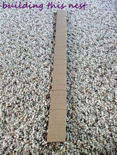 a long piece of cardboard sitting on top of a floor with the words building this nest