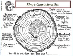 a tree stump with the words ring's characteristics on it and an image of what is