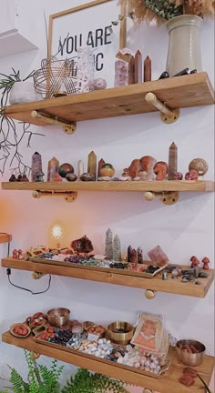 the shelves are filled with different types of rocks and other things to see on display