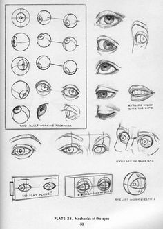 an instruction manual for drawing the human eye