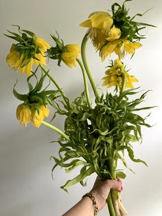 a hand holding a bunch of yellow flowers in it's left arm, with the stems still attached