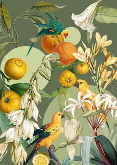 a painting of birds, oranges and flowers on a green background