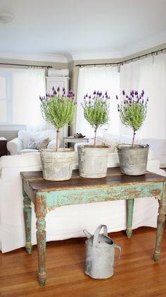 three potted plants sitting on top of a wooden table in front of a window