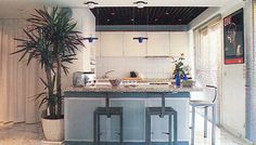 a kitchen with blue and white counter tops next to a tall potted plant in the corner