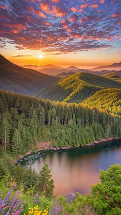 the sun is setting over a lake surrounded by trees and mountains in the distance, with wildflowers growing on both sides