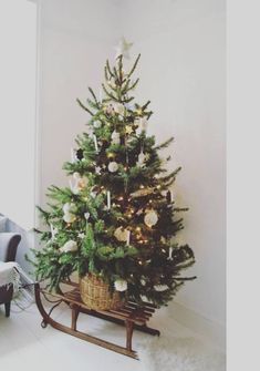 a small christmas tree in a basket on a sled next to a couch and chair