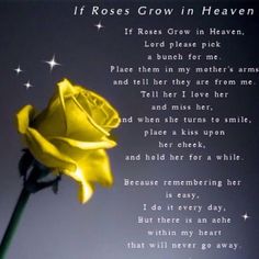 a yellow rose with the poem if roses grow in heaven