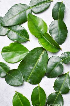 some green leaves laying on top of a white surface