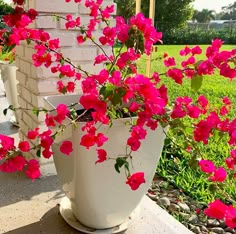 pink flowers are growing in a white planter