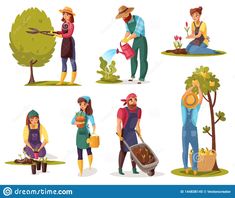 people working in the garden, gardening and watering plants stock photo - image 34987