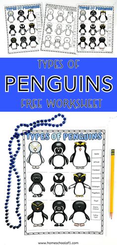 Different Types of Penguins Worksheet (Free Printable) Different Types Of Penguins, Penguin Worksheets, Species Poster, Penguin Research, Zoo Education, Types Of Penguins, Macaroni Penguin, Humboldt Penguin, Penguin Activities