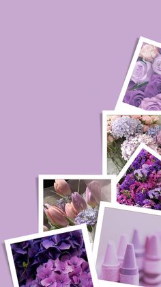 several pictures of different flowers and vases on a purple background with white border around them