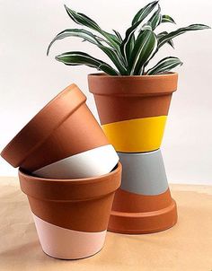 three potted plants sitting next to each other on a table