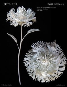 two white flowers on a black background with the caption botanicala for nonna