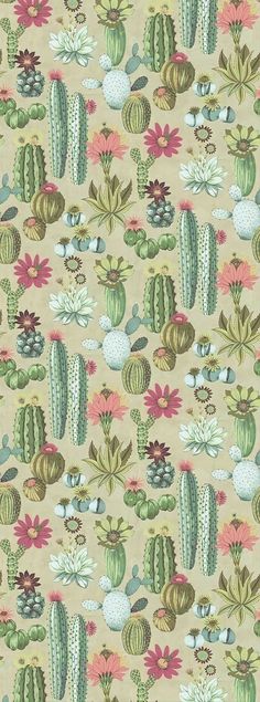 a wallpaper with cactus and flowers on it