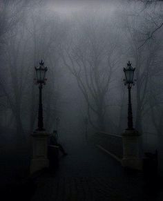 a person sitting on a bench in the foggy park with street lamps and trees